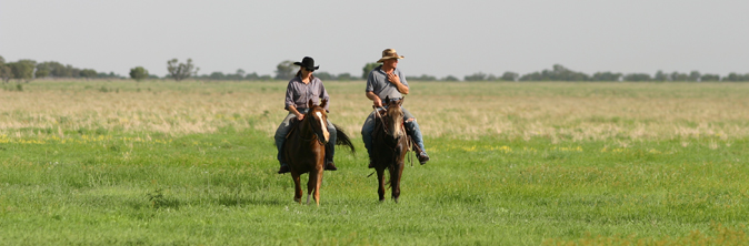 Australian Agricultural Company